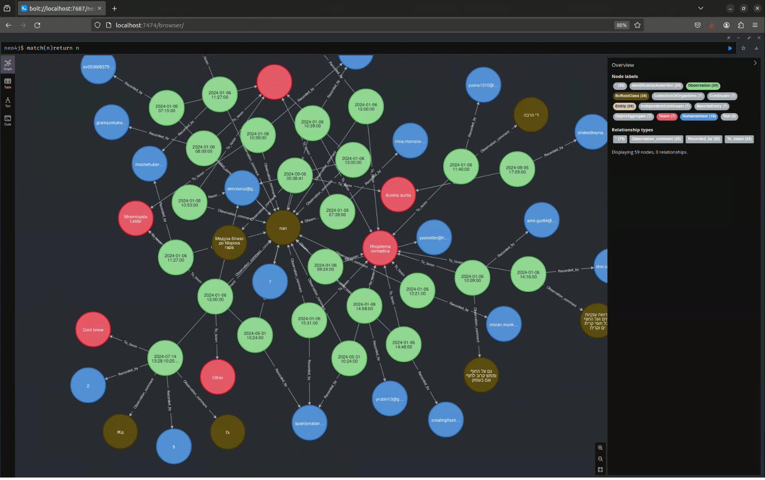 A graph made of colored nodes and edges, all of which have text over them.